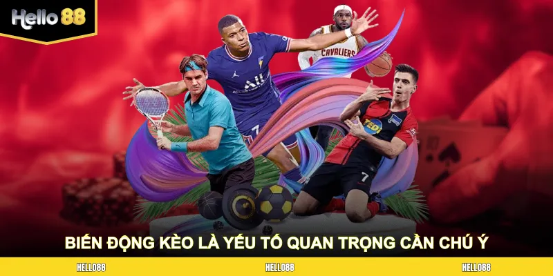 Biến động kèo là yếu tố quan trọng cần chú ý