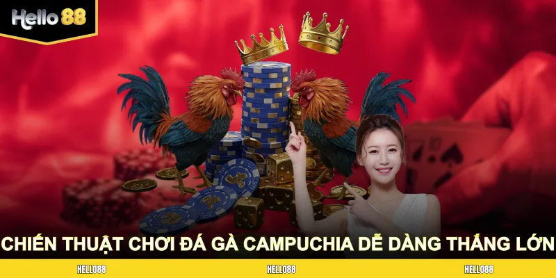 Các chiến thuật chơi đá gà Campuchia dễ dàng thắng lớn