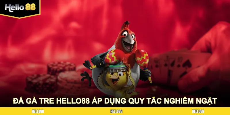 Đá gà tre Hello88 áp dụng quy tắc giám sát nghiêm ngặt