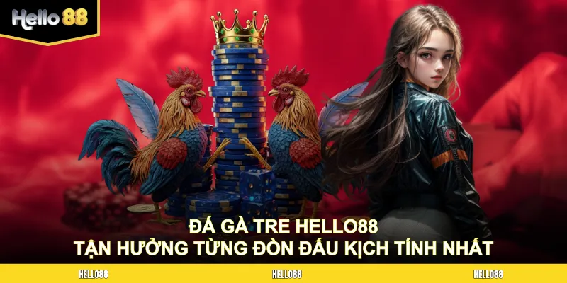 Đá gà tre Hello88