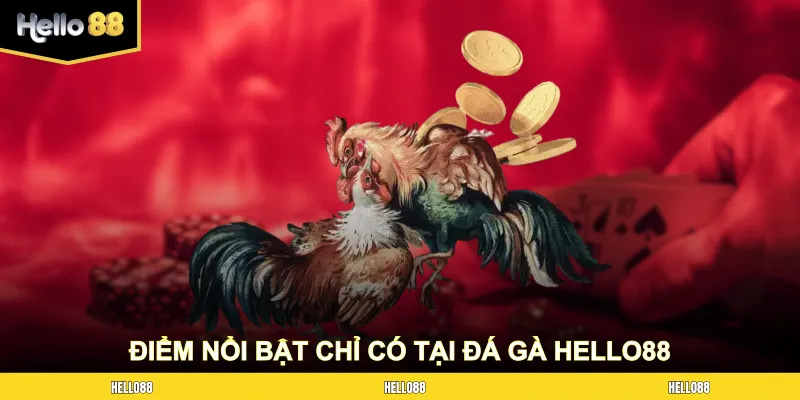 Các điểm nổi bật chỉ có tại sảnh game đá gà HELLO88
