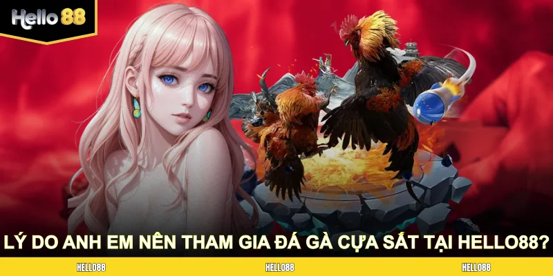 Lý do anh em nên tham gia đá gà cựa sắt tại nhà cái HELLO88?