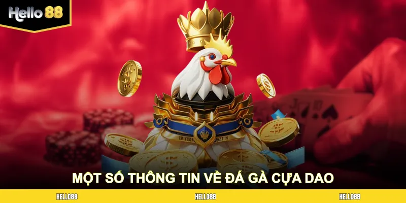 Một số thông tin về đá gà cựa dao