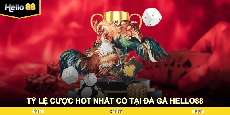 Tỷ lệ cược hot nhất có tại sân chơi đá gà HELLO88