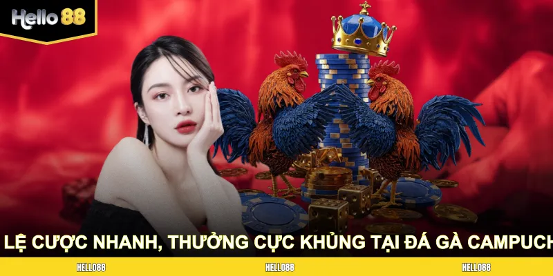 Các tỷ lệ cược nhanh, thưởng cực khủng tại game đá gà Campuchia